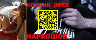 spice Бердск