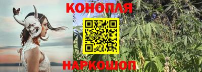 a pvp Ачхой-Мартан