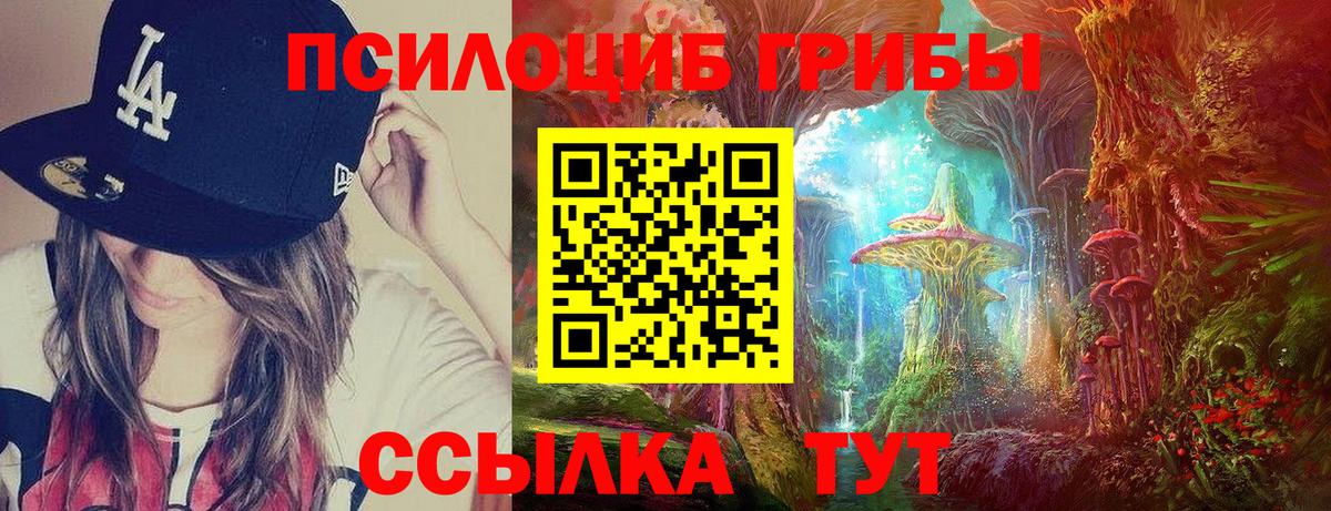 Галлюциногенные грибы Cubensis  Вход с VPN  Псилоцибиновые грибы Psilocybine cubensis  Вышний Волочёк 